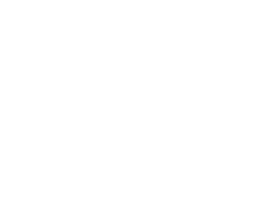 十人十色の配色調和。